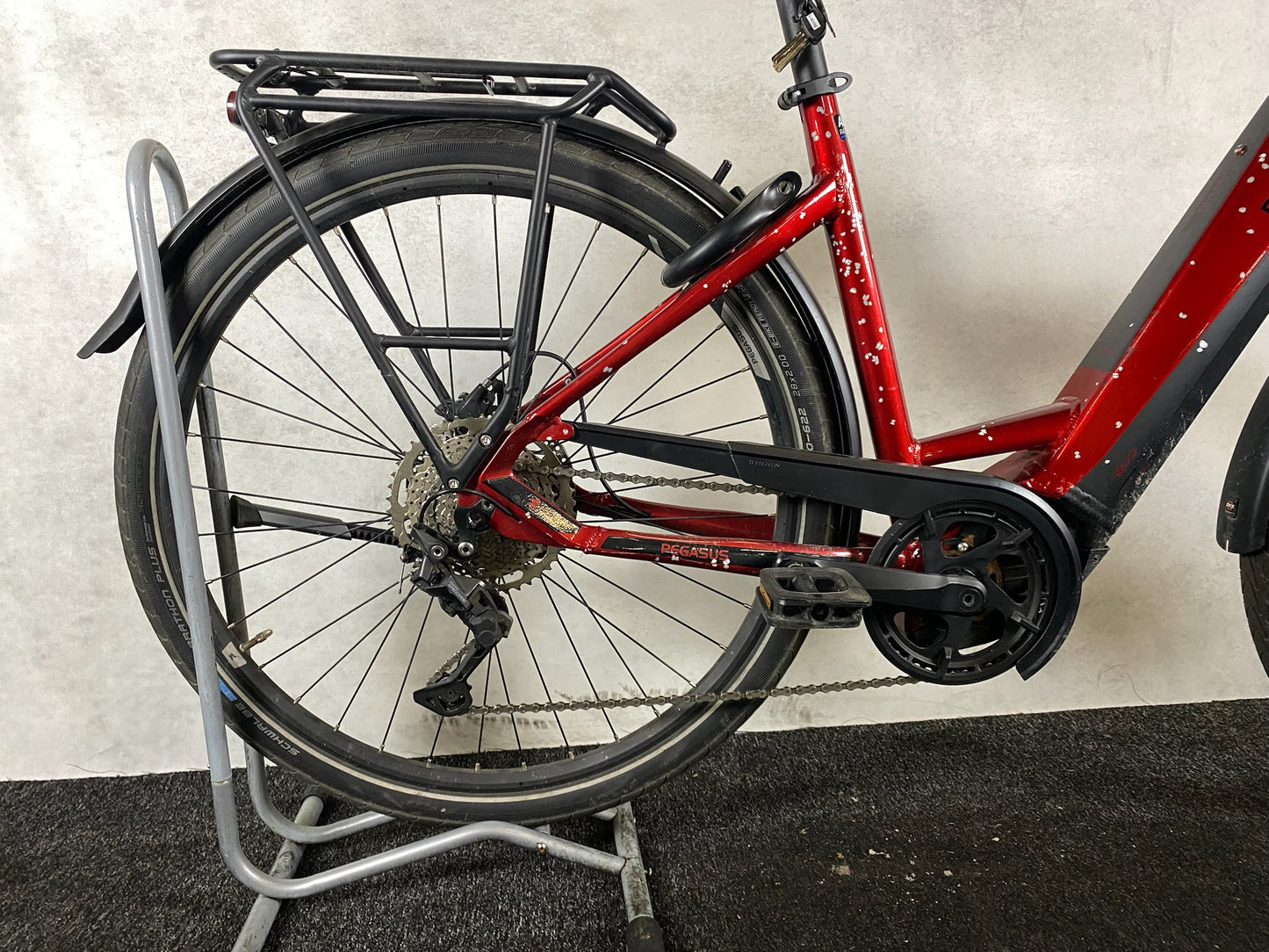 Pegasus Premio Evo 10 Lite