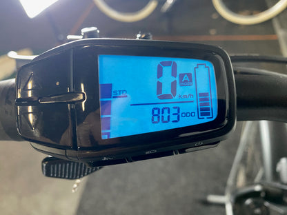 Haibike Trekking 7 WA