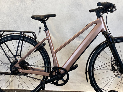 Riese und Müller	UBN Seven vario