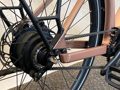 Riese und Müller	UBN Seven vario