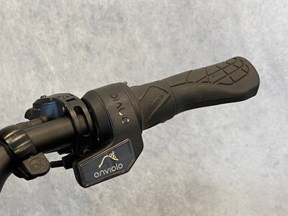 Riese und Müller	UBN Seven vario