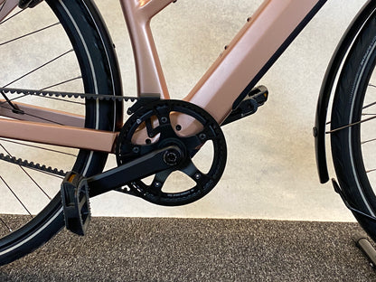 Riese und Müller	UBN Seven vario