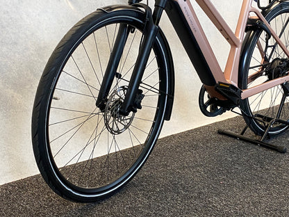 Riese und Müller	UBN Seven vario