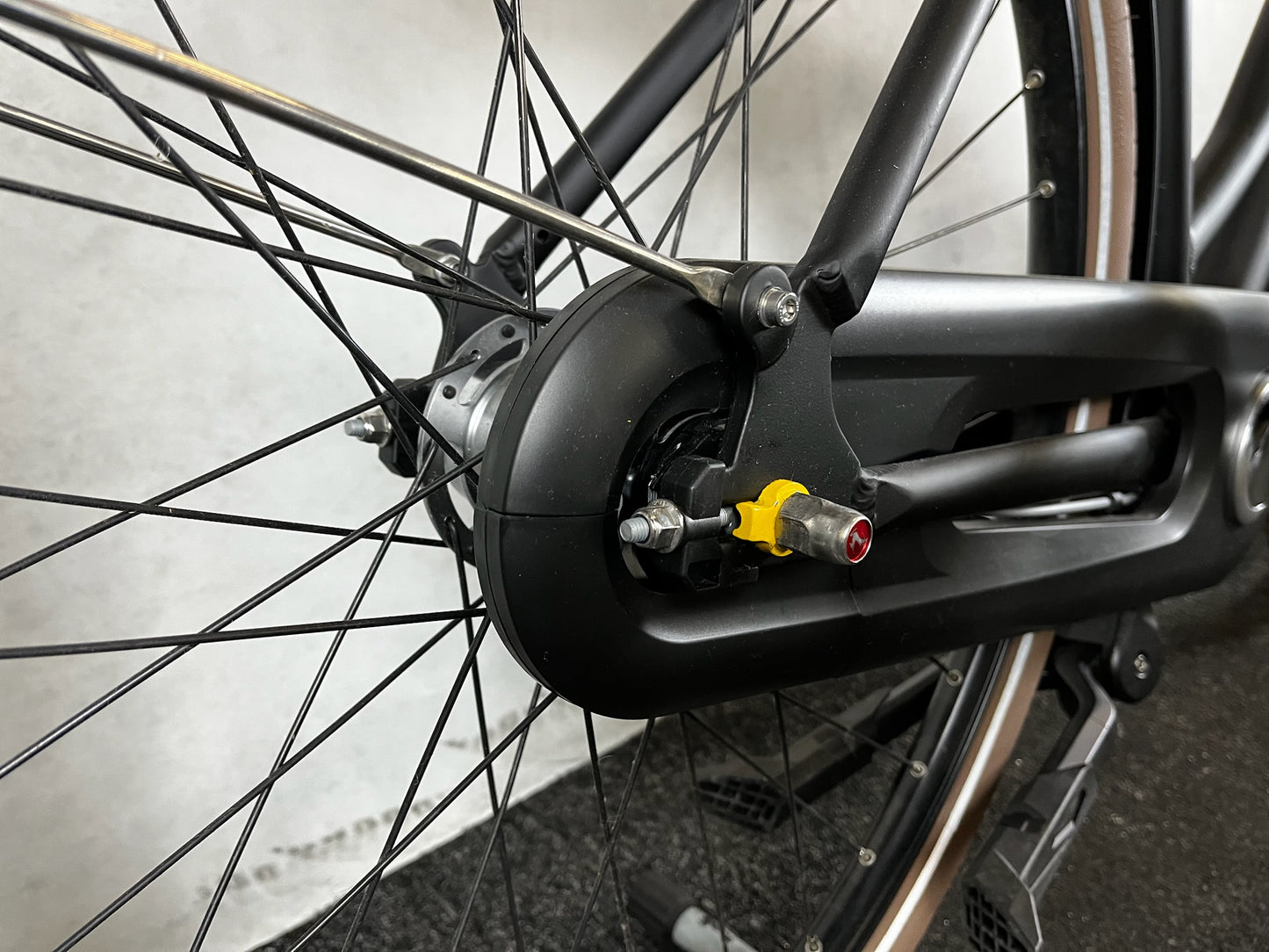 Gazelle Miss Grace RT