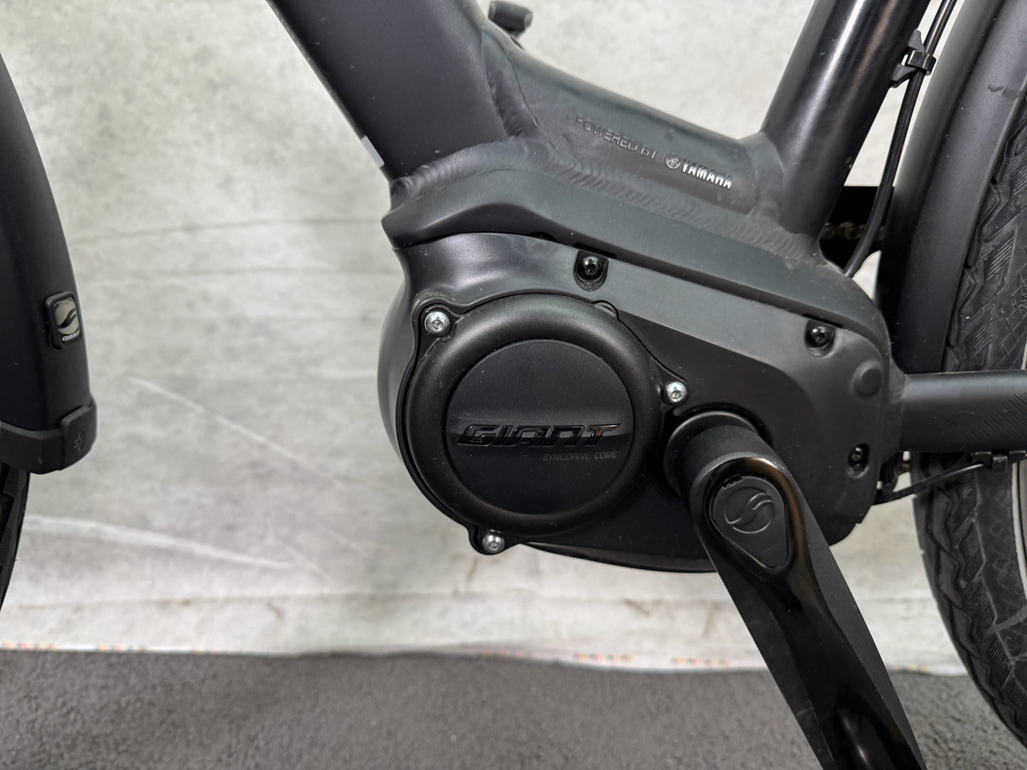 Giant Entour E+ 2 RT