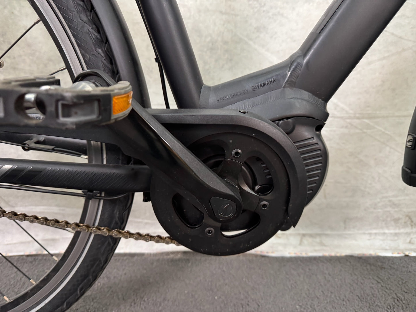 Giant Entour E+ 2 RT