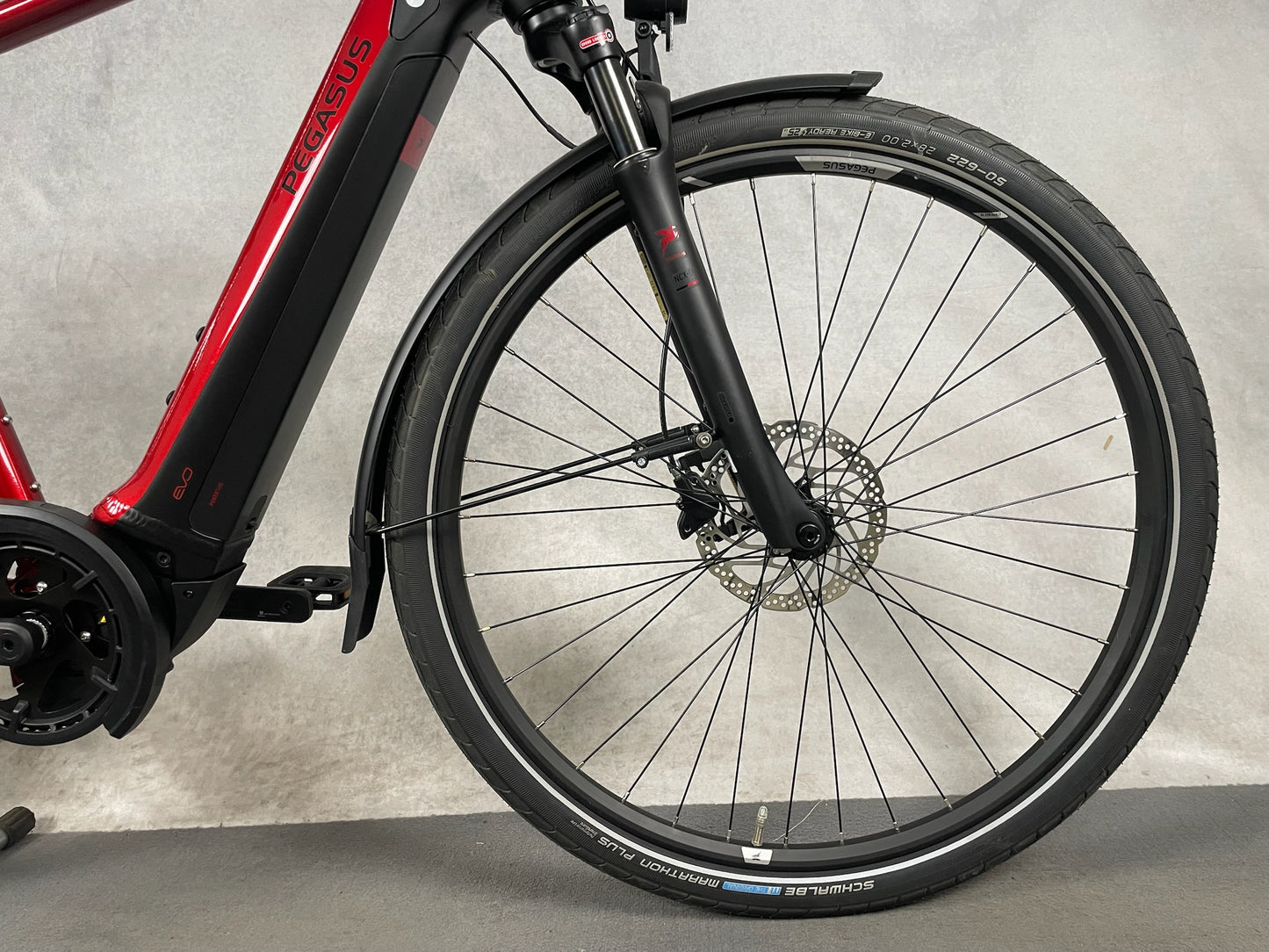 Pegasus Premio Evo lite 10