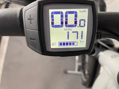 Riese und Müller Roadster Vario