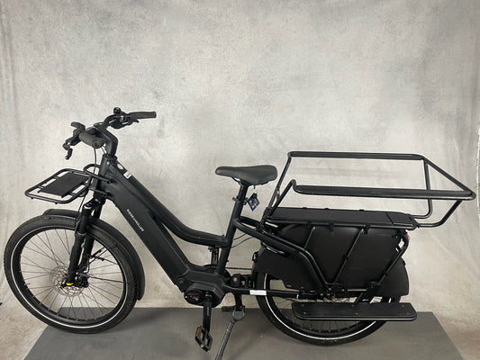 Riese & Müller Multicharger family Gt